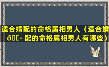 适合婚配的命格属相男人（适合婚 🌷 配的命格属相男人有哪些）